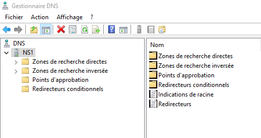ConsoleDNSPresentation