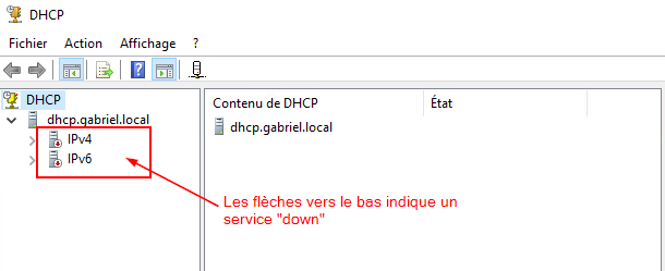 DHCPDown