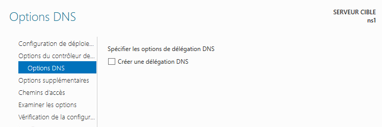DnsOptions