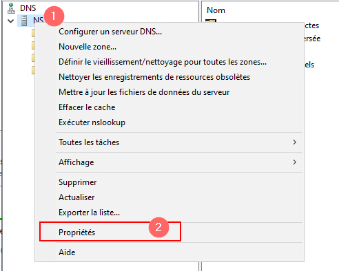 ProprietesServeurDNS