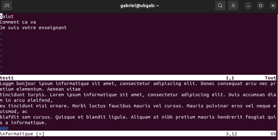 SplitVim