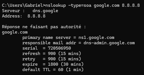 ResolveDnsNameServer