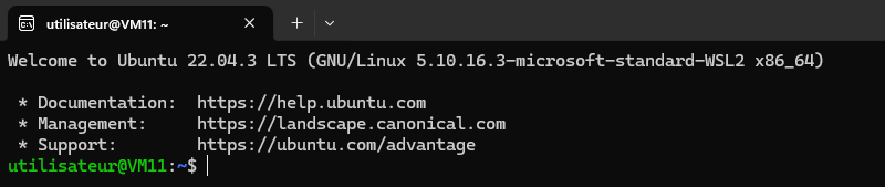 Wsl